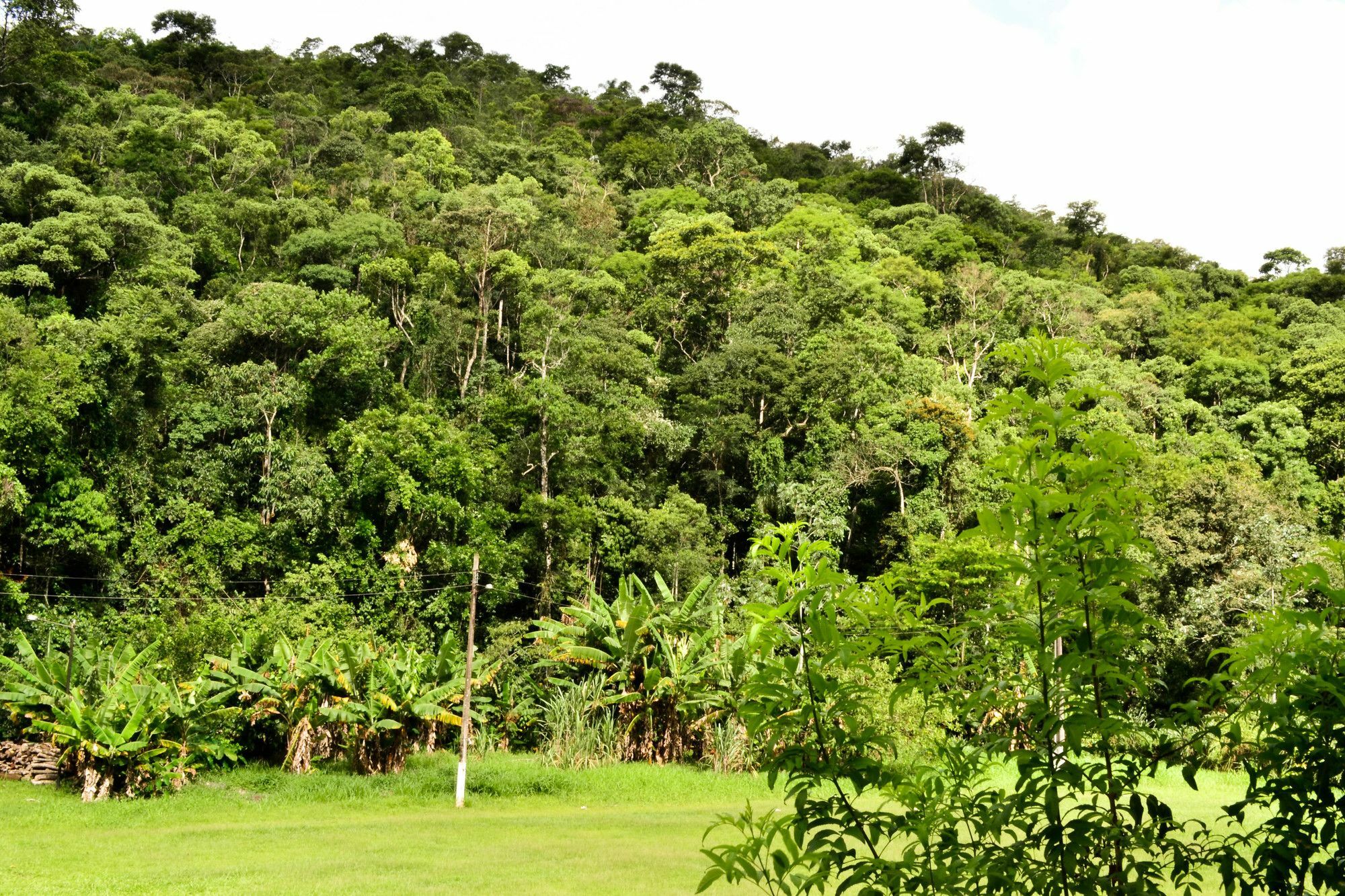 Vale Verde Penedo Hotel Dış mekan fotoğraf